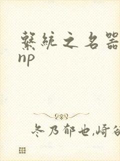 系统之名器攻略np