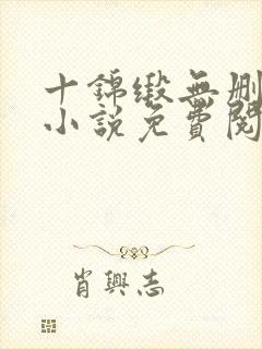 十锦缎无删原著小说免费阅读