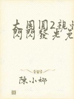 大团圆2亲情会闪闪发光免费封面