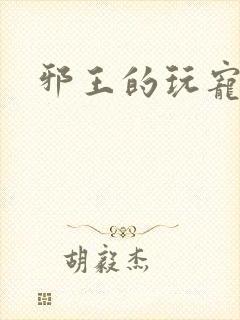 邪王的玩宠