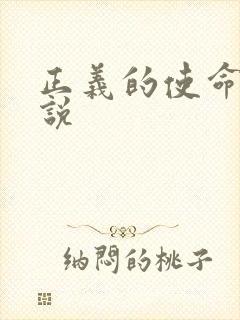 正义的使命 小说封面