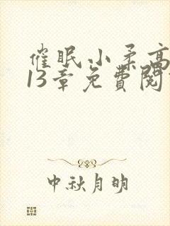 催眠小柔高达第13章免费阅读封面