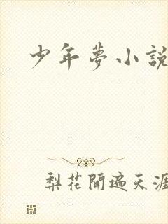 少年梦小说