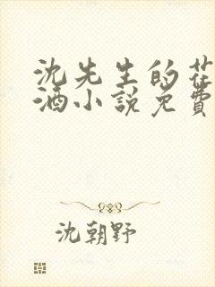 沈先生的花式调酒小说免费阅读