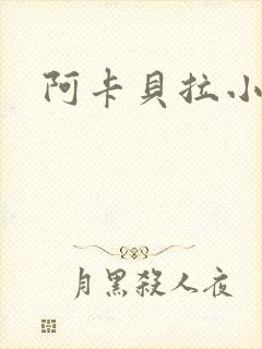 阿卡贝拉小说