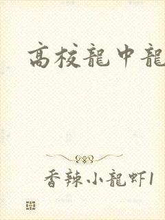 高校龙中龙