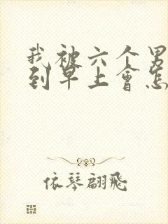 我被六个男人躁到早上会怎么样封面