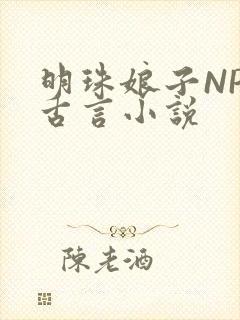 明珠娘子NPC古言小说