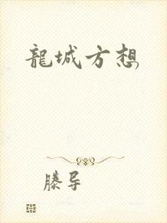 龙城方想封面