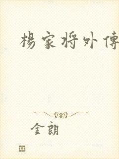 杨家将外传封面