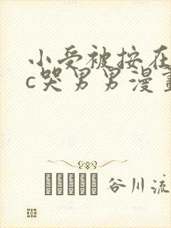 小受被按在墙上c哭男男漫画封面