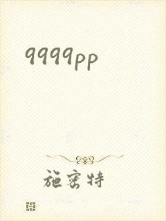 9999pp封面
