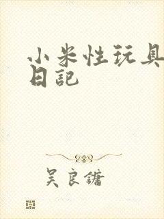 小米性玩具羞辱日记