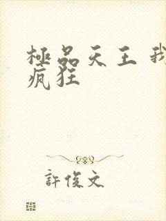 极品天王 我本疯狂封面