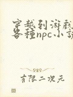 穿越到游戏里和各种npc小说封面