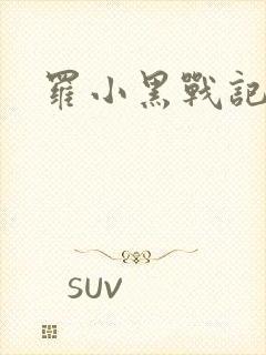 罗小黑战记小说封面