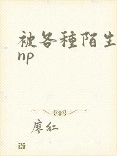 被各种陌生人 np