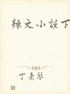 辣文小说下载