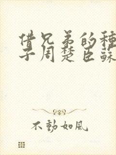 借兄弟的种生孩子周楚臣苏糖