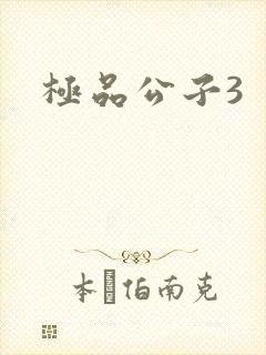 极品公子3
