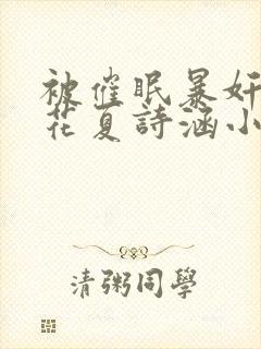 被催眠暴奸的校花夏诗涵小说