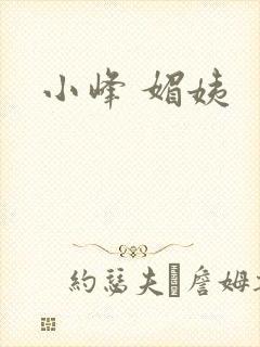 小峰 媚姨封面