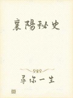 襄阳秘史封面