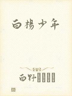 白杨少年