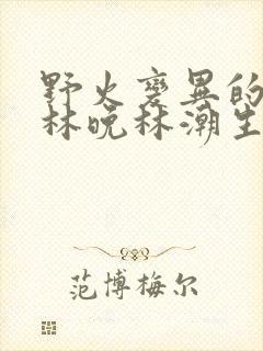 野火变异的父爱林晚林潮生