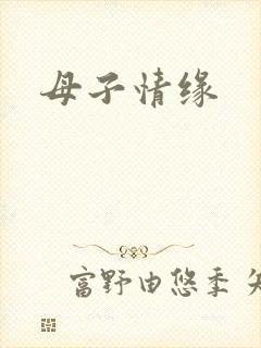 母子情缘封面