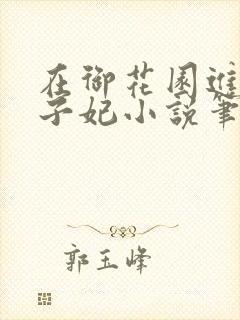 在御花园进入太子妃小说笔趣阁封面