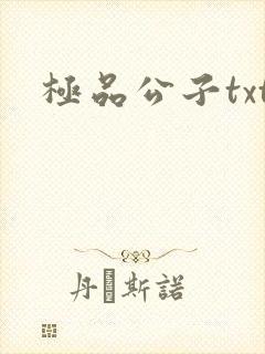 极品公子txt