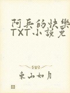 阿兵的快乐生活TXT小说免费阅读全章