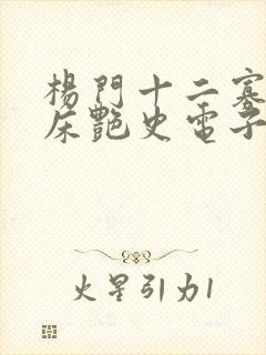 杨门十二寡妇肉床艳史电子书