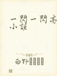 一闪一闪亮星星小说