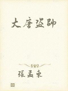 大唐盗帅