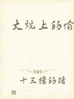 大炕上的偷乱2