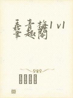 弄青梅1 v1笔趣阁