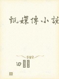 甄嬛传小说