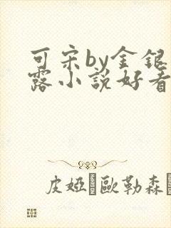 可宋by金银花露小说好看吗封面