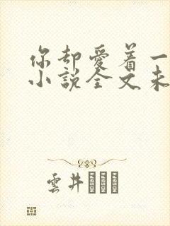 你却爱着一个他小说全文未删减免费