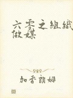 六零之组织给我做媒