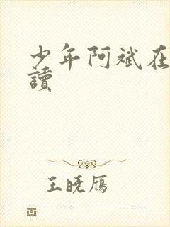 少年阿斌在线阅读