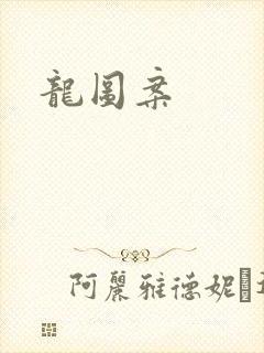 龙图案封面