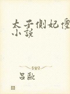 太子侧妃傻乎乎小说