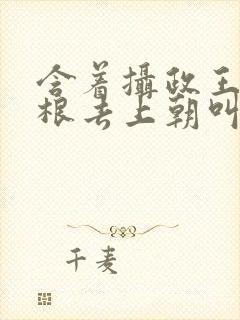 含着摄政王的紫根去上朝叫什么封面