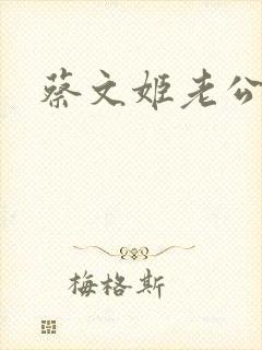蔡文姬老公