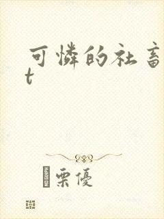 可怜的社畜txt