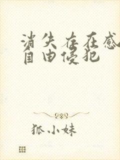 消失存在感消失自由侵犯