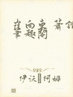 崔向东 萧错 笔趣阁